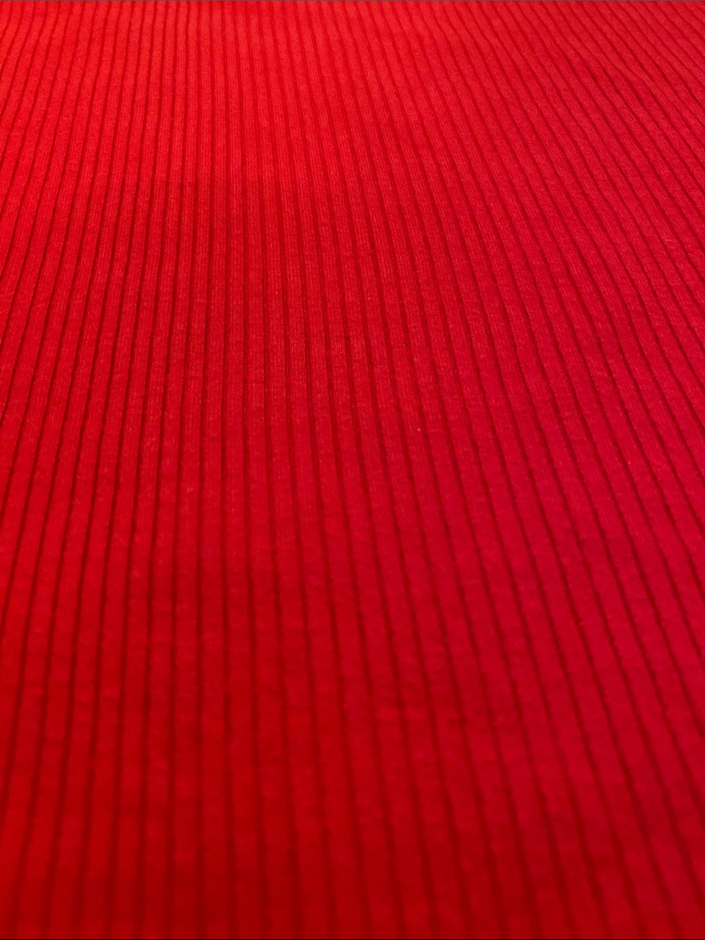 Garage Red Ribbed Crewneck Crop Top - Picture 3 of 3